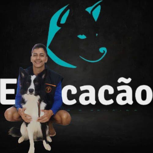 Davison Monteiro com border collie